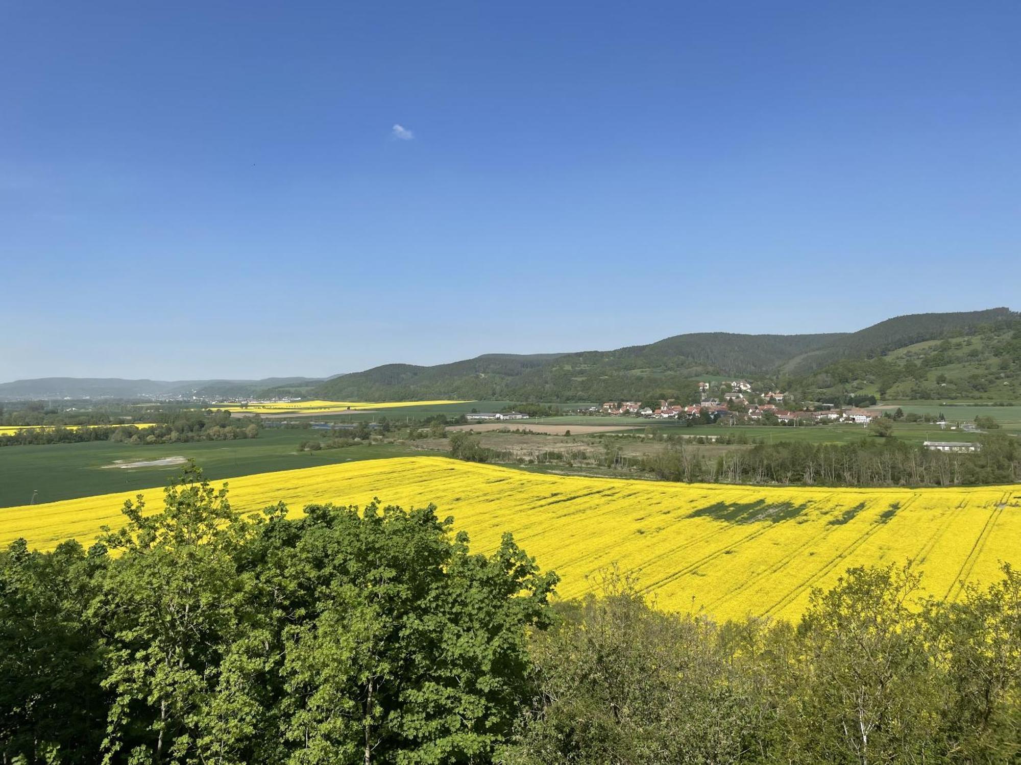 Hotel & Restaurant Schloss Weissenburg Uhlstädt Стая снимка